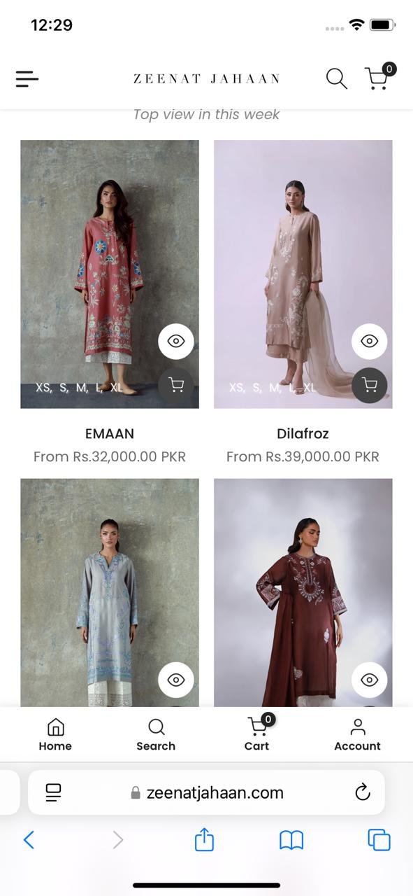 Zeenatjahan website preview